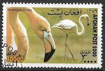 [Fauna - Birds, type AVC]