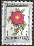 [The 7th International Flower Show, Damascus, type AEE]