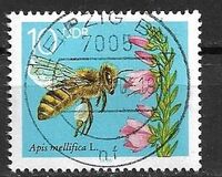 [Honey Bees, Tipe DFS]