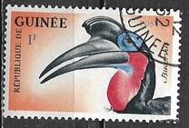 [Birds, type BB]