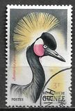 [Birds, type AZ1]