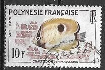 [Fish, 类型 S]