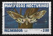 [Butterflies, тып BHE]