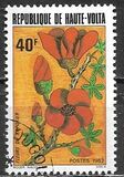[Flores., tipo ACD]
