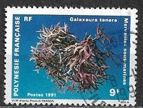[Undersea Wonders, 类型 UL]