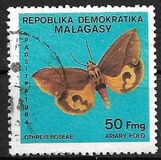 [Butterflies, タイプ ADB]