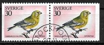 [Swedish Birds, тип KL1]