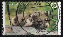 [Baby Animals, type DGB]