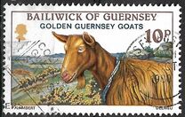[Golden Guernsey Goats, نوع GF]