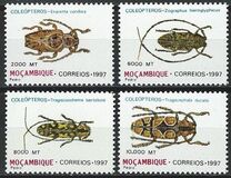 [Beetles, प्रकार AMH]
