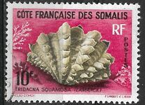 [Mussels and Snails, タイプ DT]