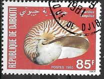 [Shells, type CJ]