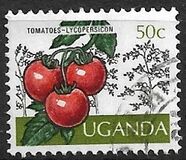 [Cultivos de Uganda., tipo BJ]