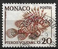 [Marine Life and Plants - Marine Life, type ZE]
