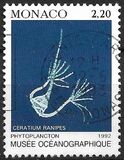 [Oceanographic Museum, Tipi CCZ]