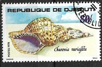 [Sea Shells, Typ AL]