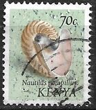 [Seashells, tegund AR]