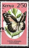 [Butterflies, type PF]