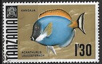 [Marine Life - Fish, tyyppi AA]