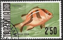 [Marine Life - Fish, tyyppi AC]