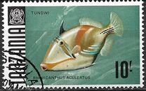 [Marine Life - Fish, tyyppi AE]