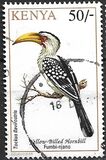 [Birds, Вид VK]
