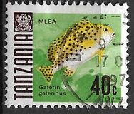 [Marine Life - Fish, tyyppi V]