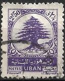 [Cedar of Lebanon, tegund XCZ2]