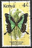 [Butterflies, type PI]