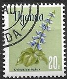 [Flowers, type AT]