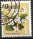 [Flowers, type AQ]