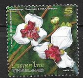 [Mahaphrom Rachini - Mitrephora Sirikitiae (Orchids), タイプ DLM]