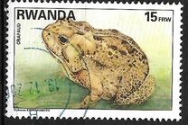 [Native Animals, type AWZ]