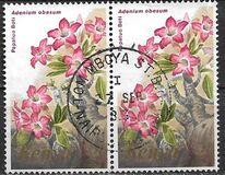 [Flowers, نوع IN]
