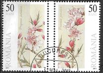 [Flowers - Peach Blossom, type JJK]