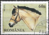 [Horse Breeds, type JFQ]