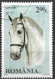 [Horse Breeds, type JFS]