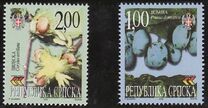 [Flora, type EK]