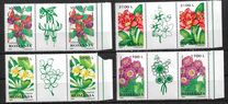 [Ornamental Plants, type HUM]