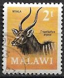 [Decimal Currency - Antelopes, type CY]