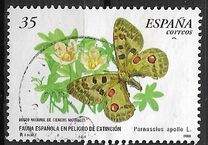 [Rare Species, տեսակ EFY]