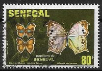 [Butterflies, տեսակ VS]