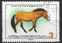 [Horse Breeds, 類型 DAO]