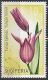 [Flowers - Tulipans, 類型 ALA]