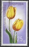 [Flowers - Tulipans, 類型 ALD]