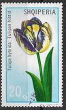 [Flowers - Tulipans, 類型 ALC]