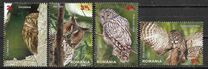 [Birds of Prey - Owls, տեսակ JQM]