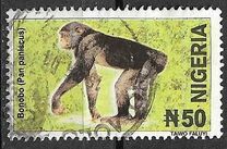 [Wildlife, type YV]