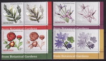 [Flowers of Bucharest Botanical Garden, type JZS]