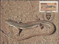 [Reptiles, type DR]